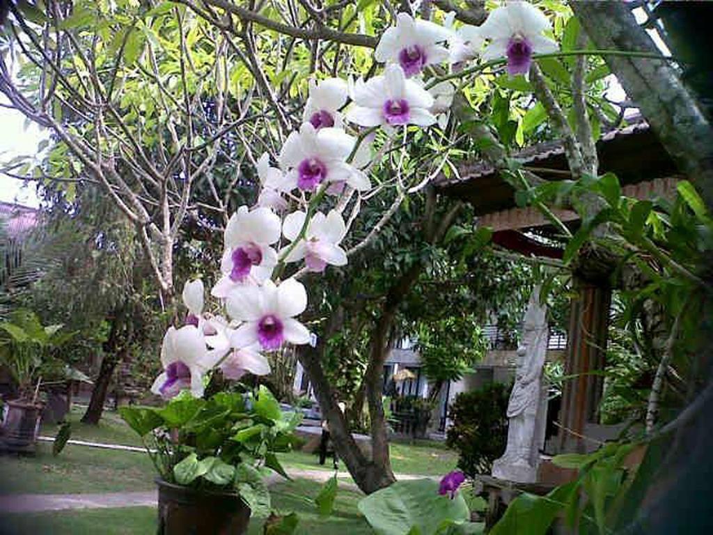 Puri Maharani Boutique Hotel دنباسار المظهر الخارجي الصورة